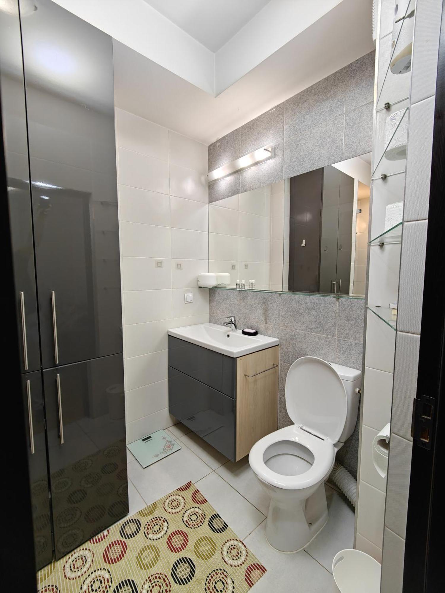 Park Lake Near Iulius Mall, Wi-Fi, Walk-In Showe Cluj-Napoca Ngoại thất bức ảnh