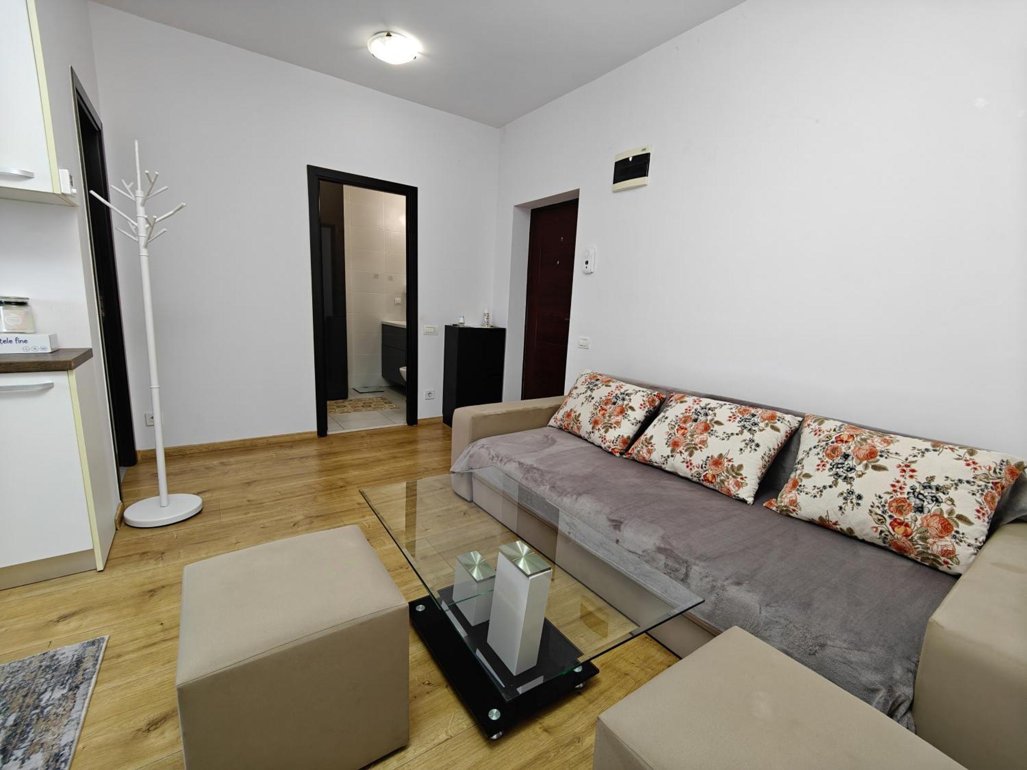 Park Lake Near Iulius Mall, Wi-Fi, Walk-In Showe Cluj-Napoca Ngoại thất bức ảnh